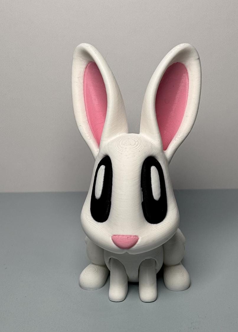 Articulated Animal 3D Printed Easter Bunny with Egg – Unique Basket Stuffer & Holiday Decor Gift - KV3D Designs