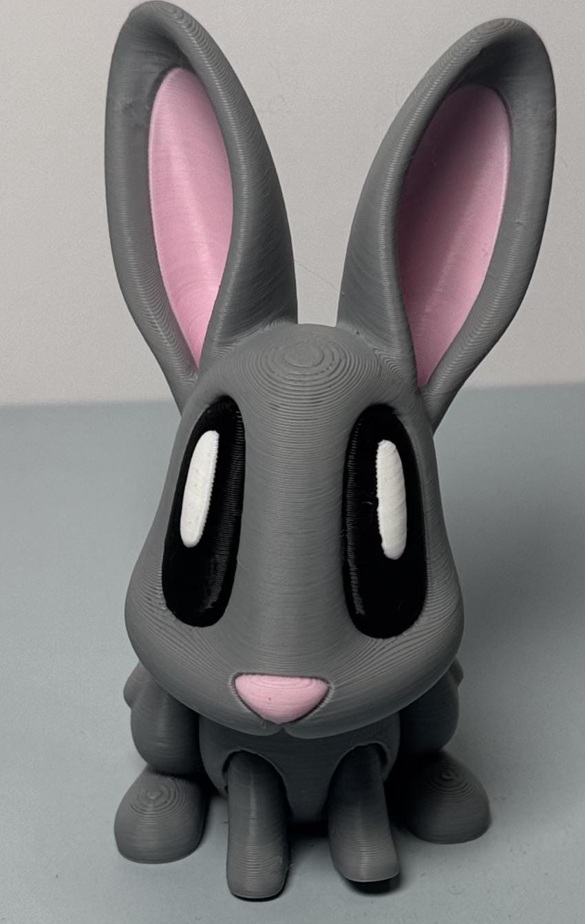 Articulated Animal 3D Printed Easter Bunny with Egg – Unique Basket Stuffer & Holiday Decor Gift - KV3D Designs