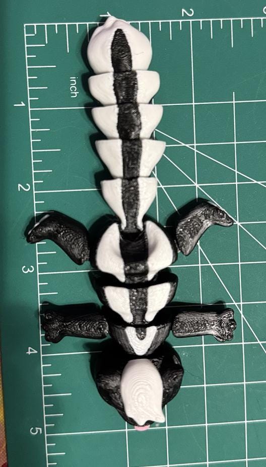 Skunk Fidget Toy, 3D Printed Articulated Skunk – Dumpster Animal Gift – Trash Can or Tree Stump Desk Pet – Cute Animal Figurine - KV3D Designs