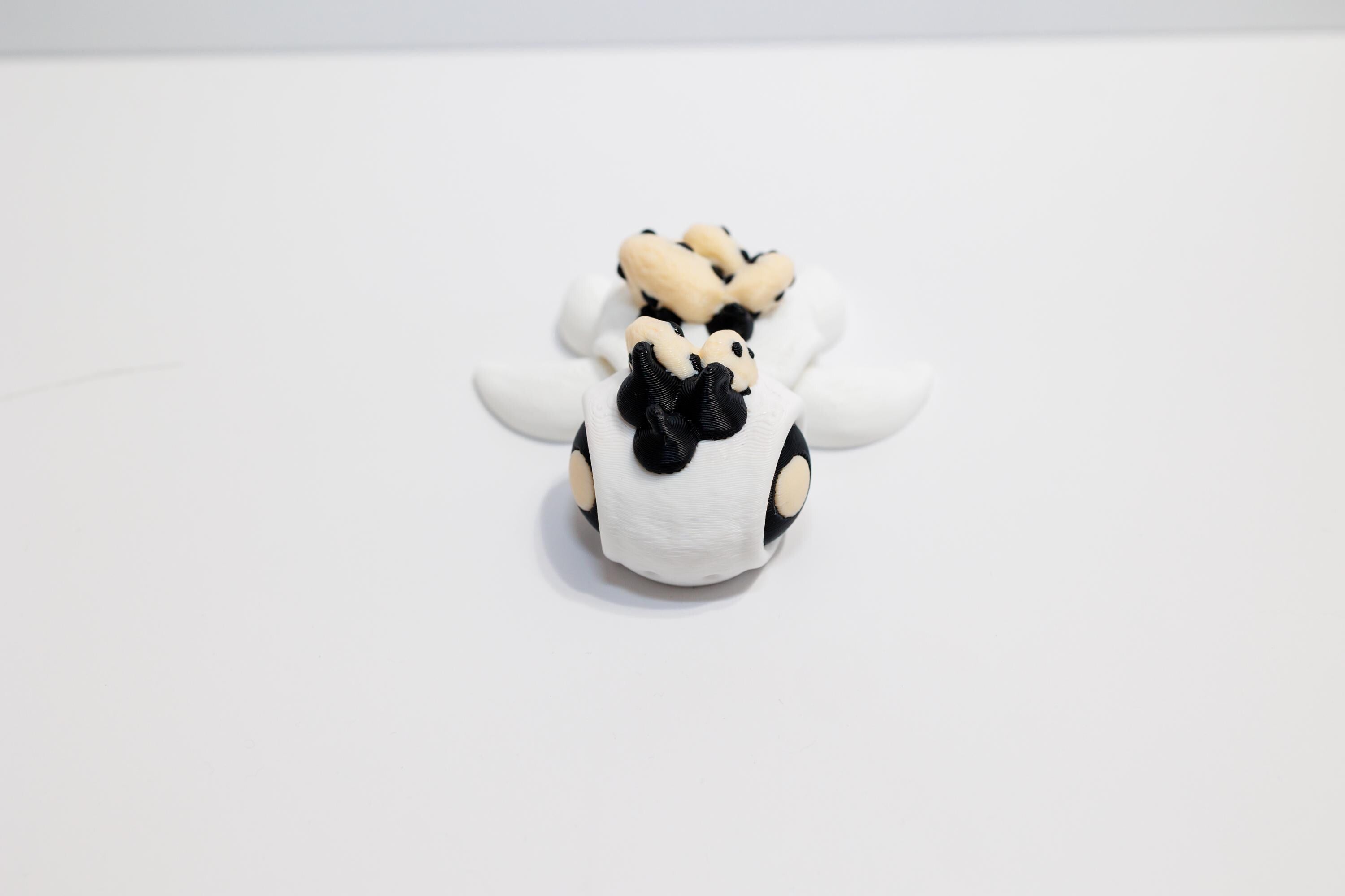 Adorable Dessert-Themed Fidget Toy: 3D Milk and Cookie Turtle - KV3D Designs